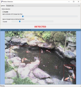 Обнаружение движения в RVMedia